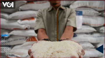 الاكتفاء الذاتي.. بابيناس يؤكد أهمية الاعتماد الداخلي على الأرز لتحقيق التنمية